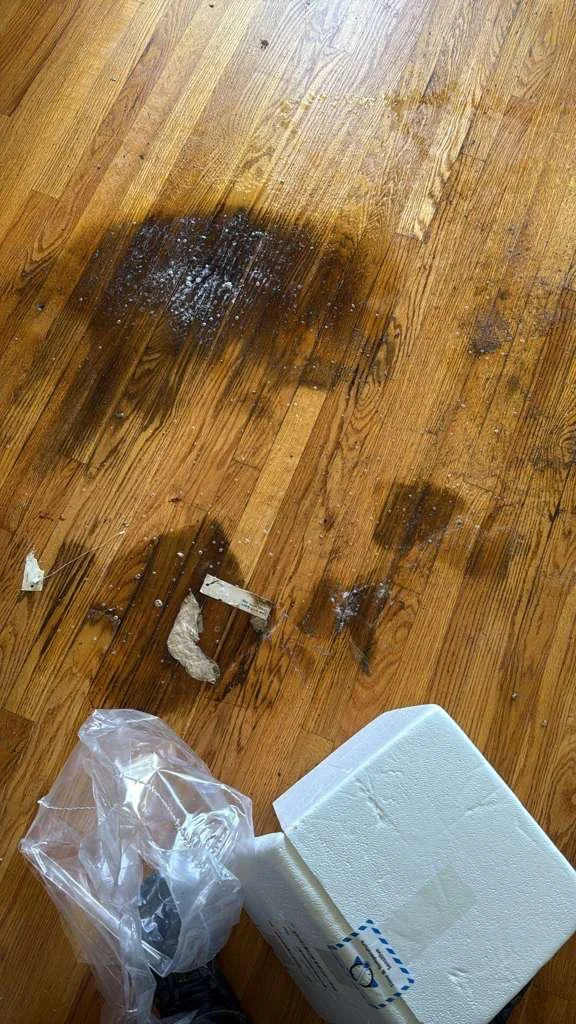 Cleaning House 03
